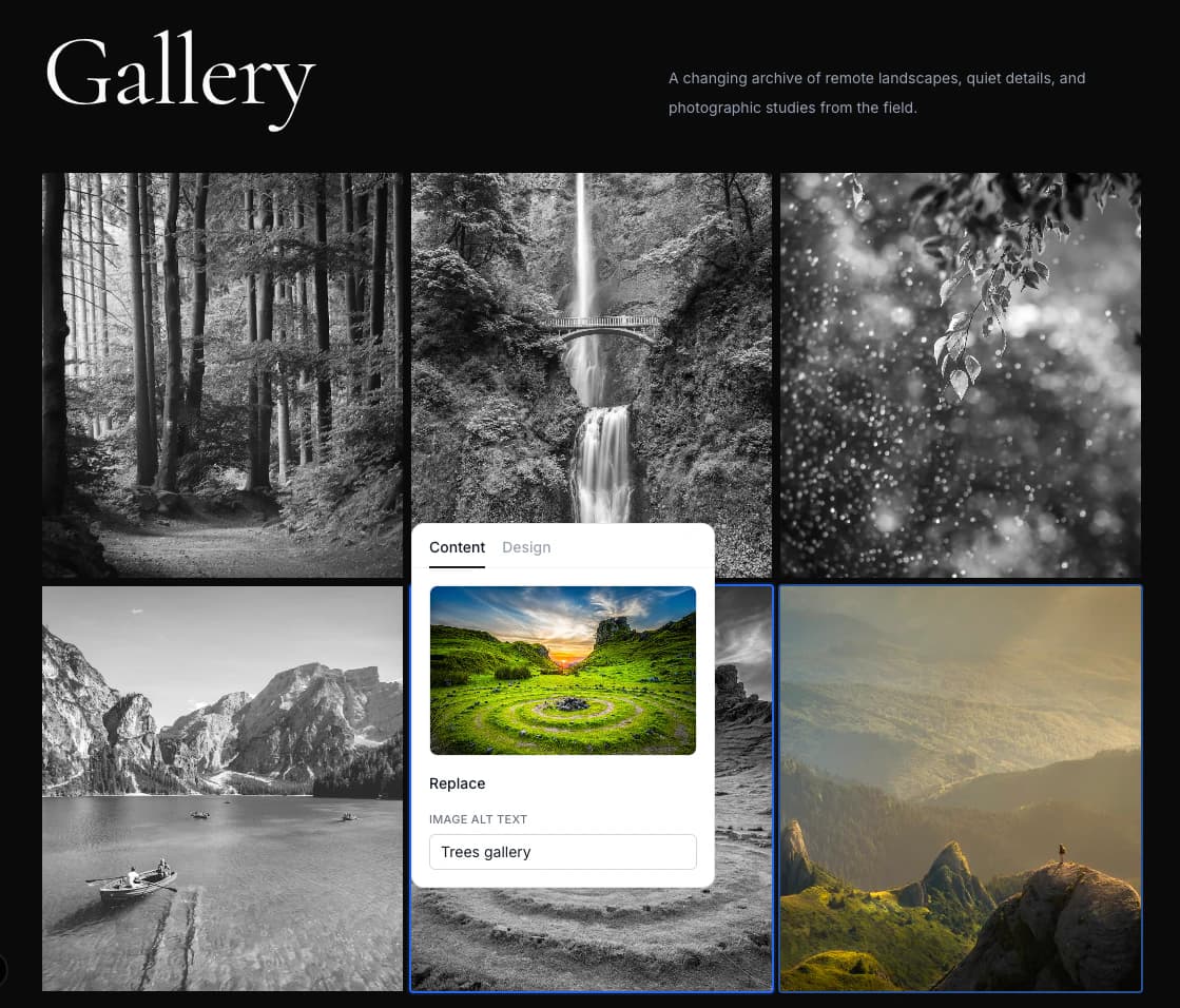 StackLiberate visual editor replacing a gallery image and editing its alt text.